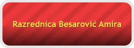 Razrednica Besarović Amira